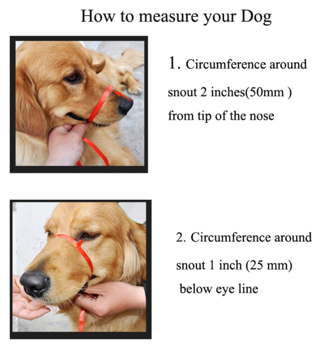 Dog Muzzle PU Leather - Image 5